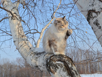 Similar image 21967175