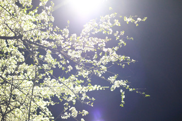 Similar image 21968354