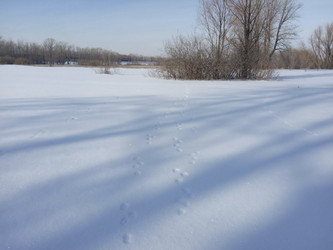 Similar image 21969298