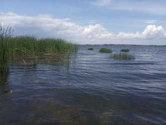 Similar image 21969299