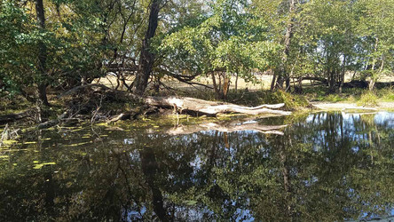 Similar image 21965878