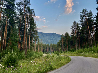 Similar image 21965838