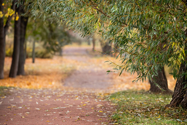 Similar image 21971164