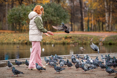 Similar image 21971168