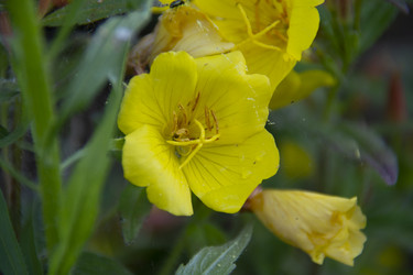 Similar image 21962378