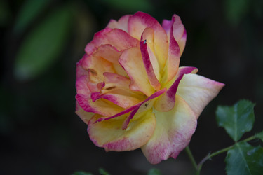 Similar image 21962380