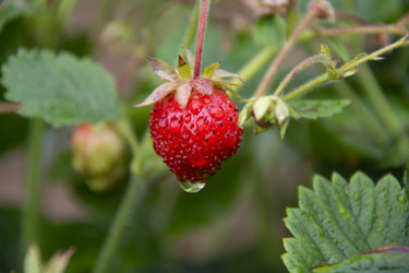 Similar image 21962386