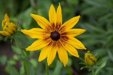 Similar image 21962387