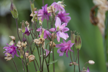 Similar image 21962388