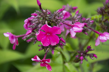 Similar image 21962389