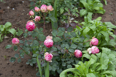 Similar image 21962390