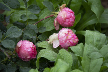 Similar image 21962391