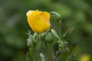 Similar image 21962392