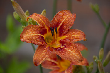 Similar image 21962393