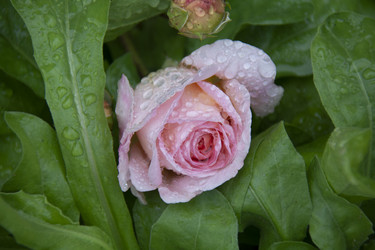 Similar image 21962394