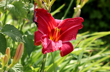 Similar image 21968447