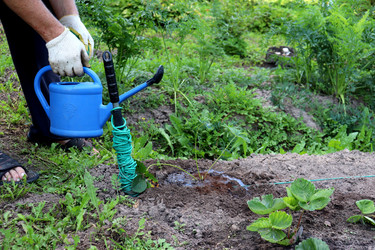 Similar image 21968612