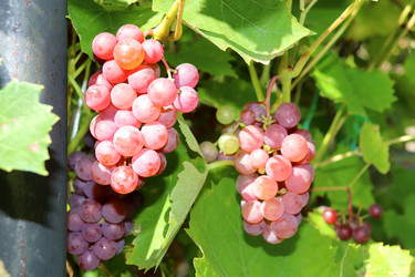 Similar image 21968613