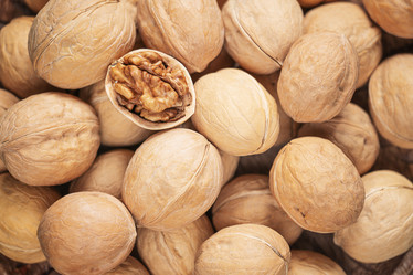 Similar image 21969543