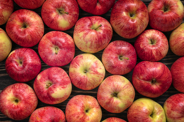 Similar image 21969733