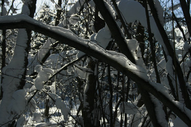 Similar image 21967191