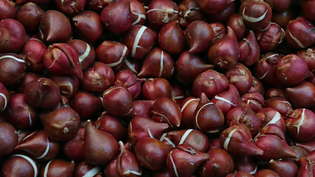 Similar image 21967192