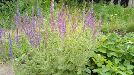 Similar image 21965879