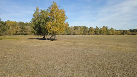 Similar image 21965881