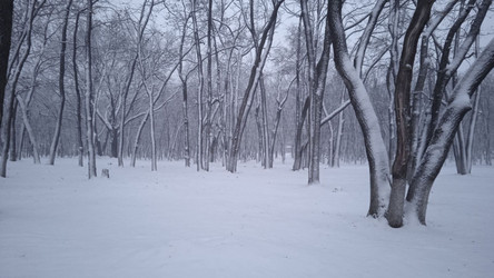 Similar image 21965882