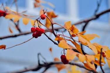 Similar image 21965883