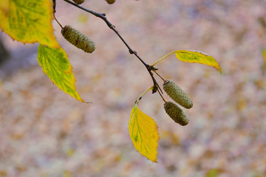 Similar image 21965884