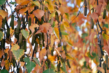 Similar image 21965885