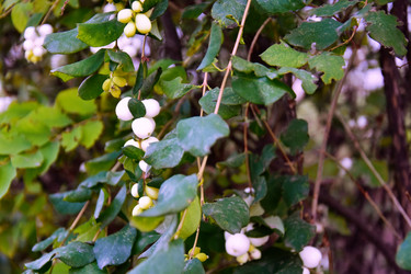 Similar image 21965886