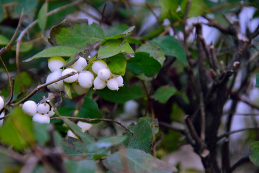 Similar image 21965887