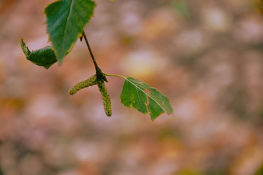 Similar image 21965888