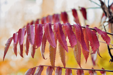 Similar image 21965890