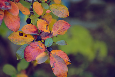 Similar image 21965891