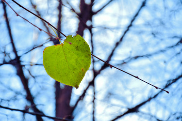 Similar image 21965892