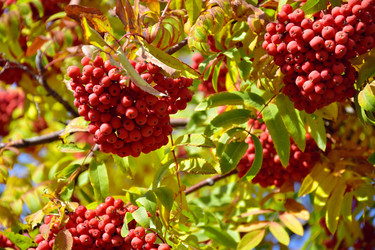 Similar image 21965893