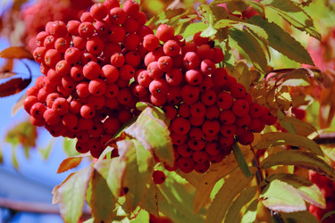 Similar image 21965894