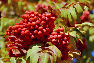 Similar image 21965895