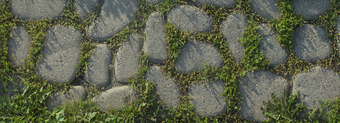 Similar image 21962410