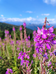 Similar image 21965949