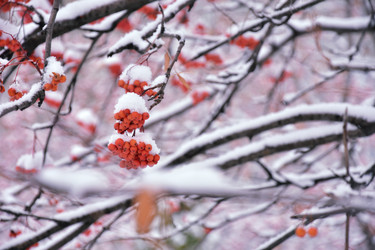 Similar image 21965896