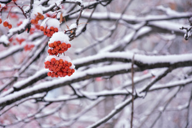 Similar image 21965897