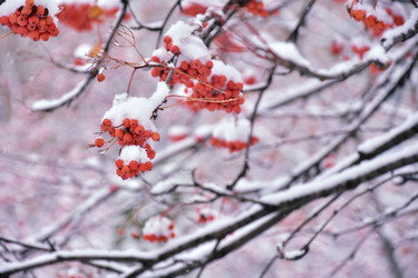 Similar image 21965898