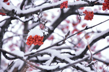 Similar image 21965899