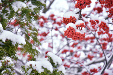 Similar image 21965900