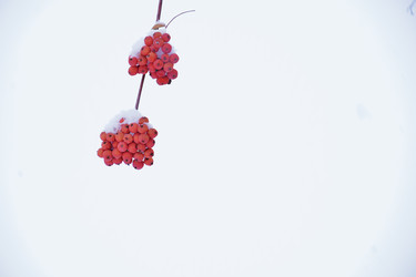 Similar image 21965901