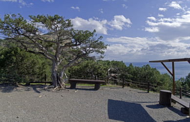 Similar image 21965904